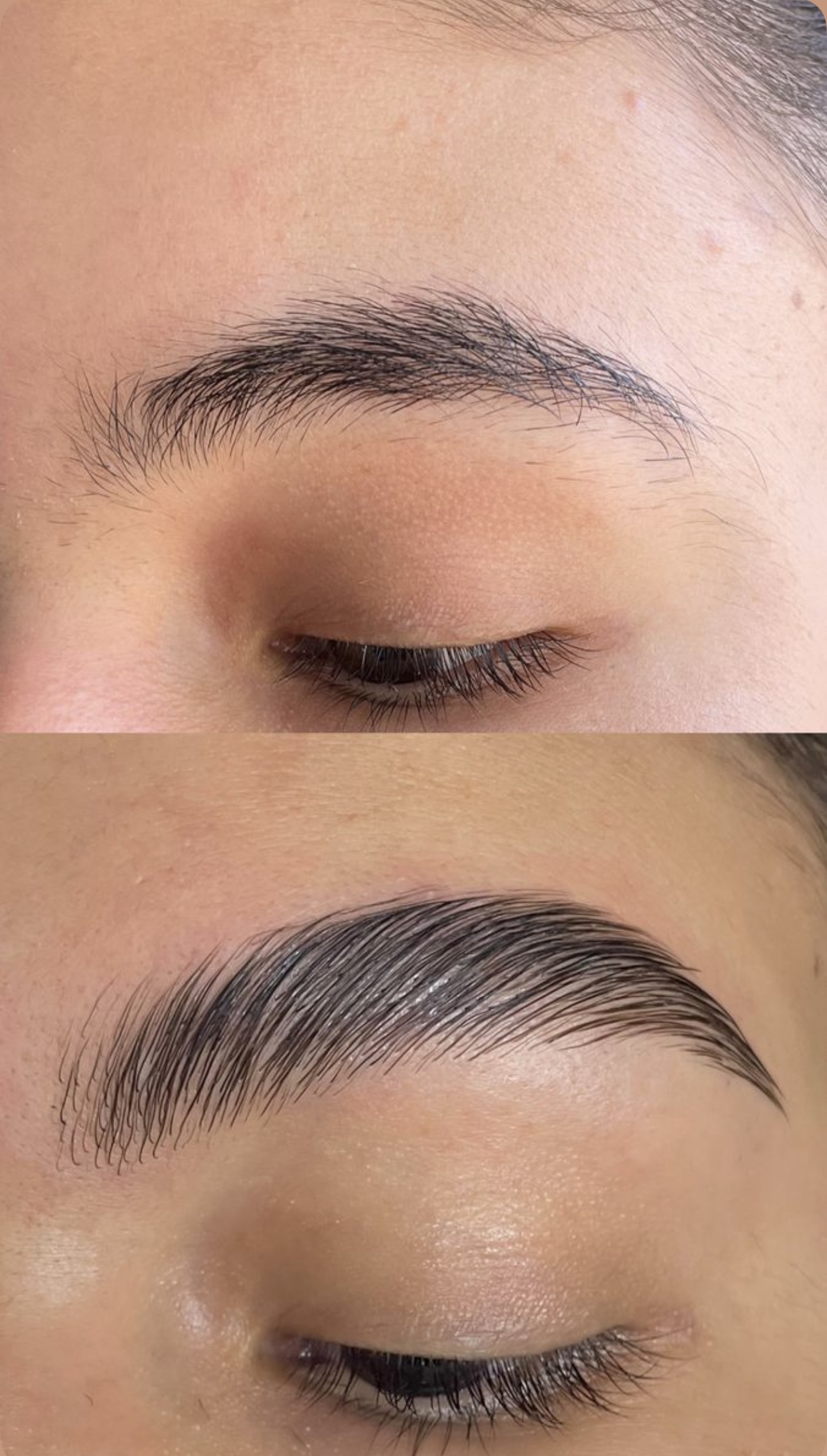 Soft tinted brows result